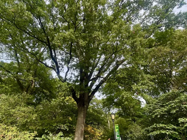 257 West 91st Street image 8 of 8