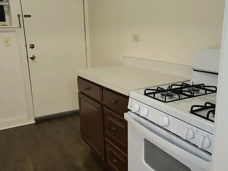 2633 W Ainslie St — Photo 13