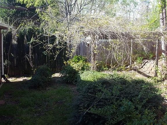 back yard