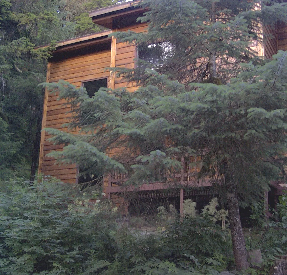 3 bed, 2400 sqft, $3,895 — Photo 1