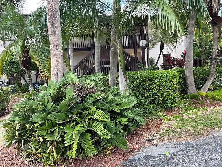 9256 Sabal Ridge Cir #D — Photo 13