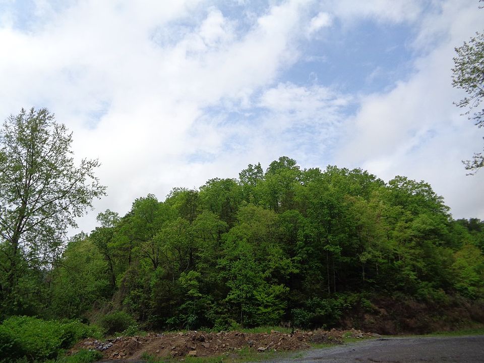 0 Fletchers Frk, Welch, WV 24801 MLS 52124 Zillow