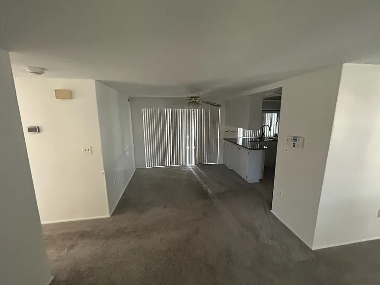 12206 Pepper Mill Dr — Photo 5