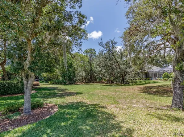 3767 N Baltusrol Path, Lecanto, FL 34461