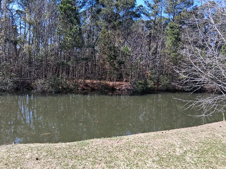 5047 Wheeler Lake Rd — Photo 6