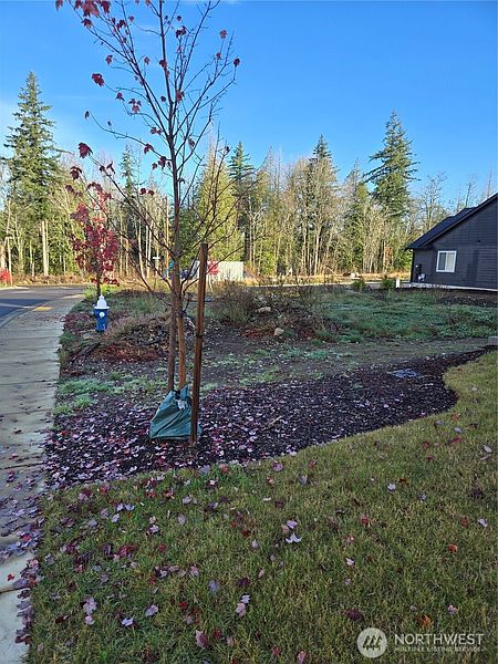 3rd image of 2811 Oleander lane Street