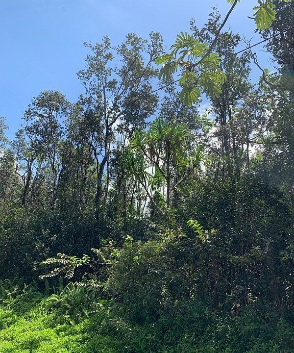 1st image of 13th Avenue Kukui Lot 556