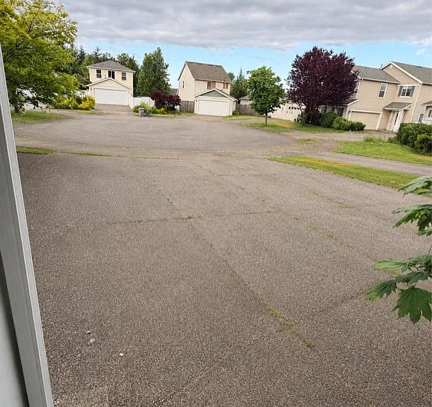 Driveway view: great spot on a cul de sac!