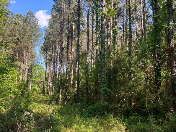 1038 Candy Ln, McComb, MS 39648