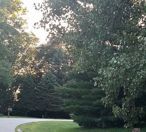 tranquil environment