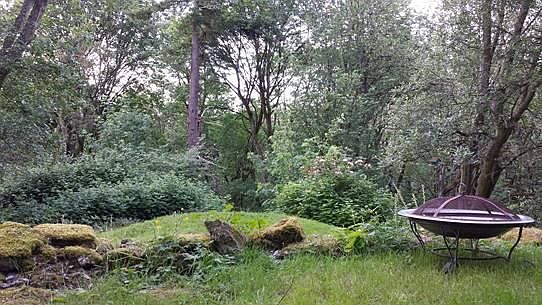 Private backyard surrounded by greenbelt; feels like you're in the forest.