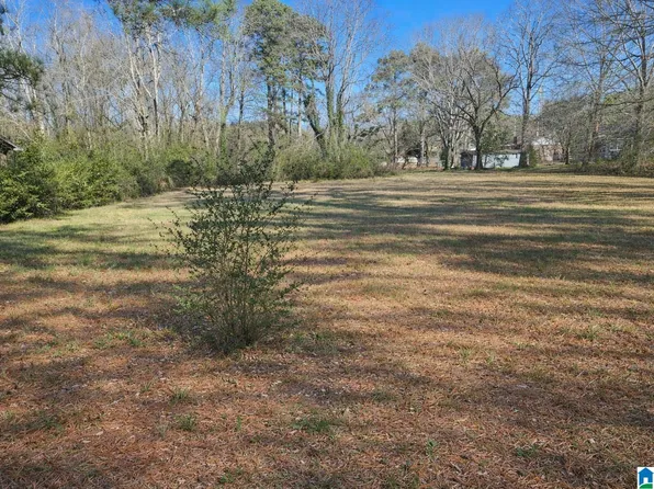 524 Roebuck Forest Dr #3, Birmingham, AL 35206