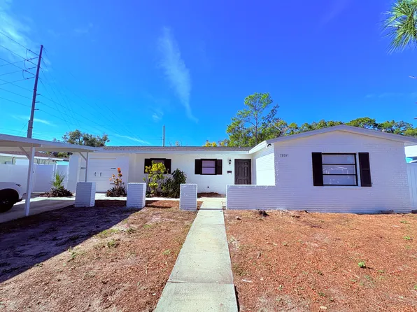 7804 N Saint Vincent St, Tampa, FL 33614