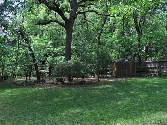 Backyard (2 of 2)