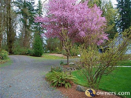 Side driveway