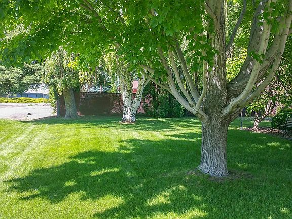 Front Yard with Shade Trees