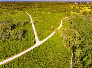 Walker Springs Rd, Lamont, FL 32336