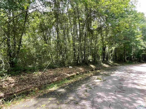 County Road 110, Carthage, TX 75633