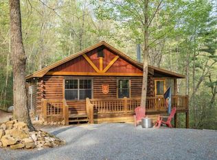 1311 Little Bushy Head Rd #247, Blue Ridge, GA 30513