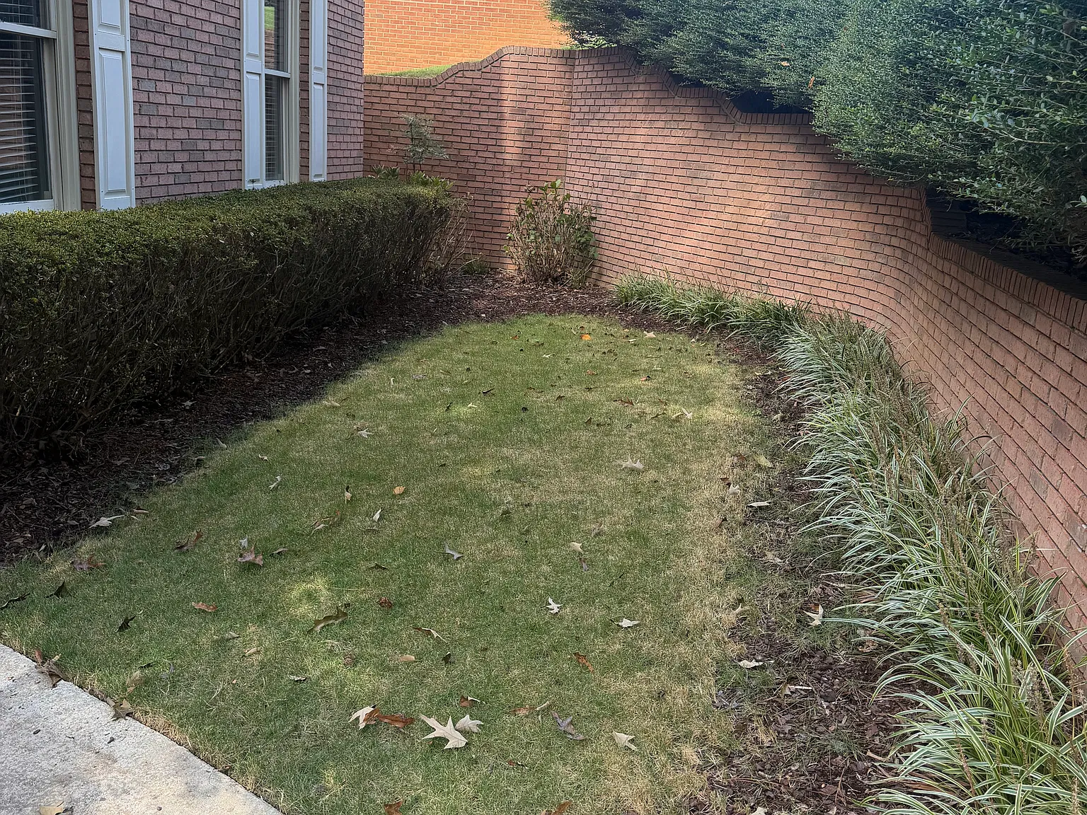3 bed, 2250 sqft, $2,099 — Photo 2
