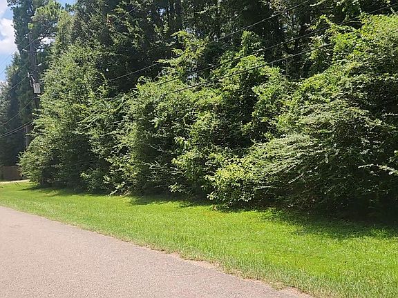 3rd image of Terri Ln