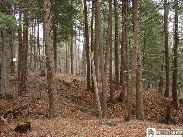 0 Crosby Rd #5, Hinsdale, NY 14743