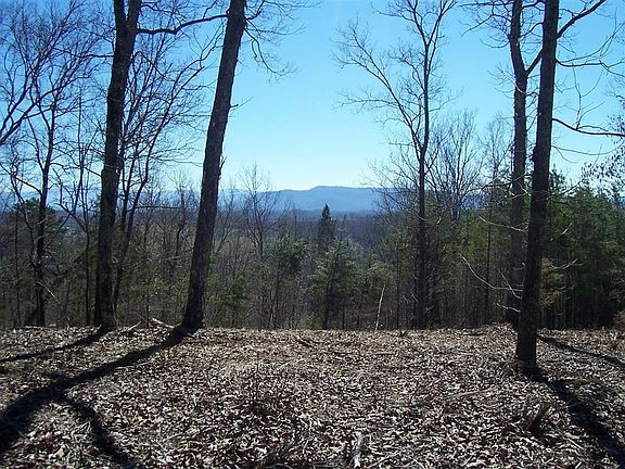 2nd image of 1011 Mountain Grove Ln Lot 10&11
