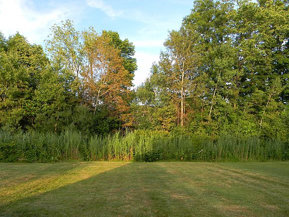 2nd image of 8256 Trevi Ln