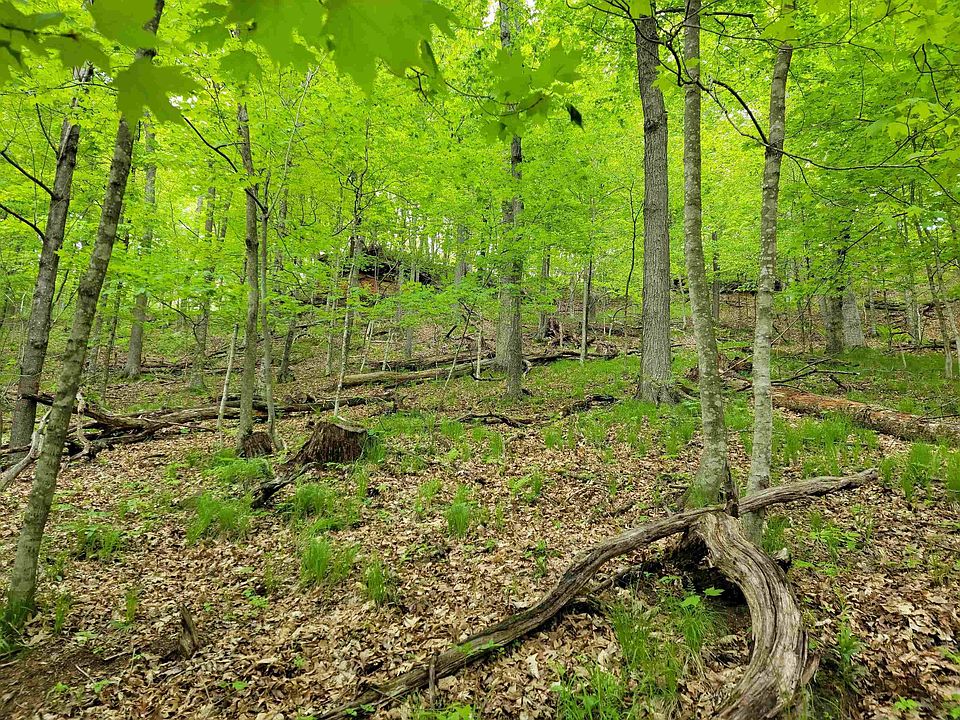 2nd image of 40 Thirty Acres Pine Ave