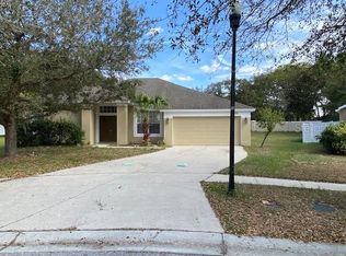 1605 Deep Well Ct, Valrico, FL 33594