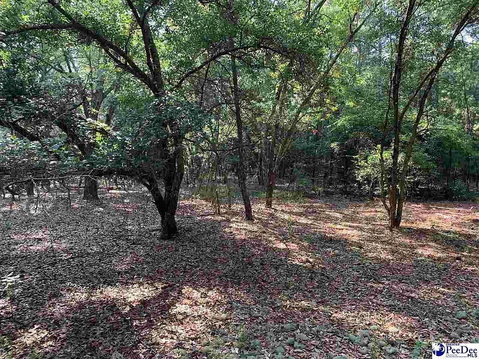 685 Macedonia Church Rd, Cheraw, SC 29520 Zillow