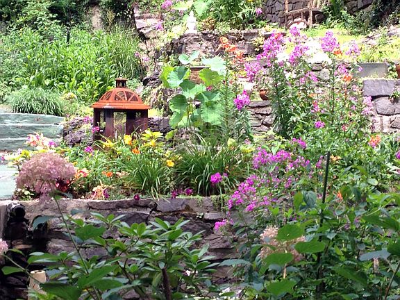 garden in the summer