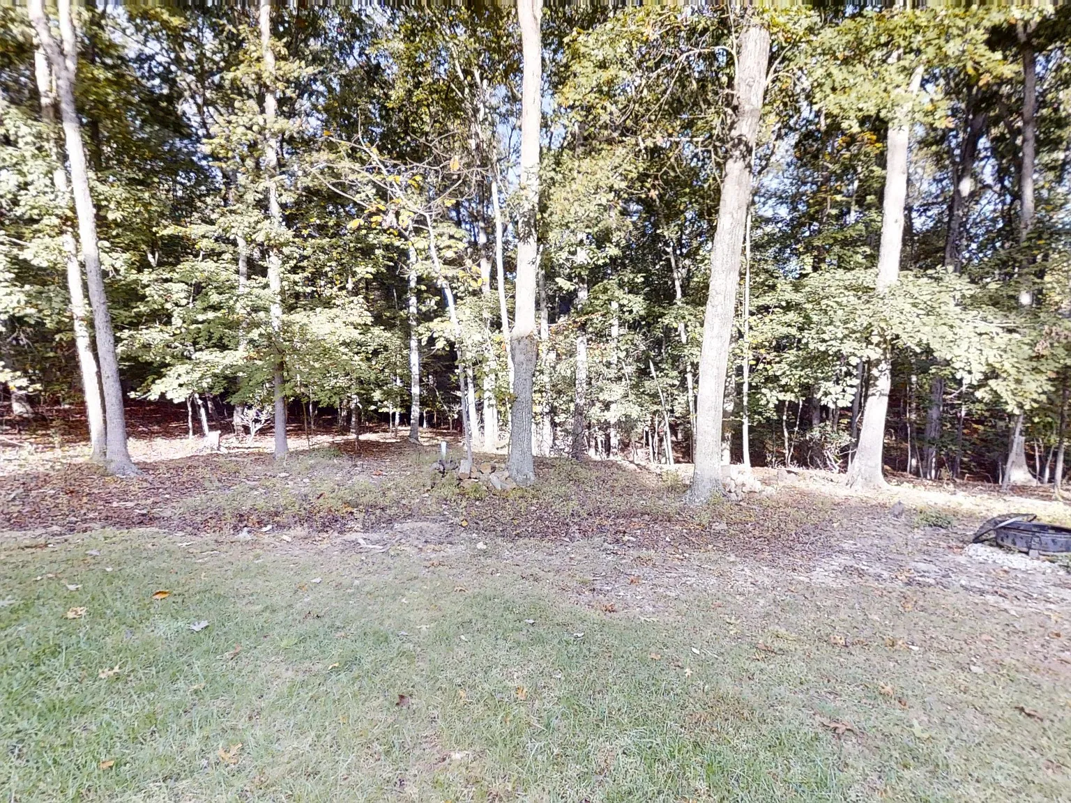 4 bed, 2.5 bath, 1641 sqft, $2,550 — Photo 4