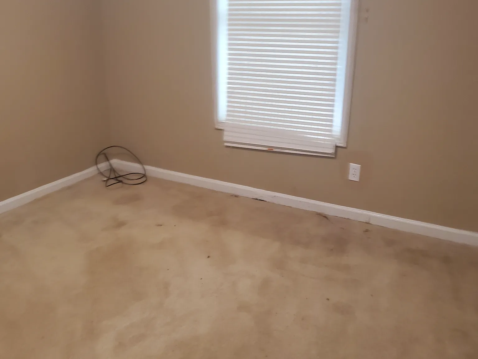 2 bed, 1604 sqft, $1,490 — Photo 2