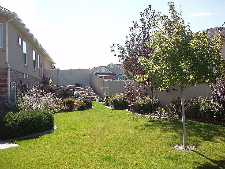 View of backyard from the waterfall