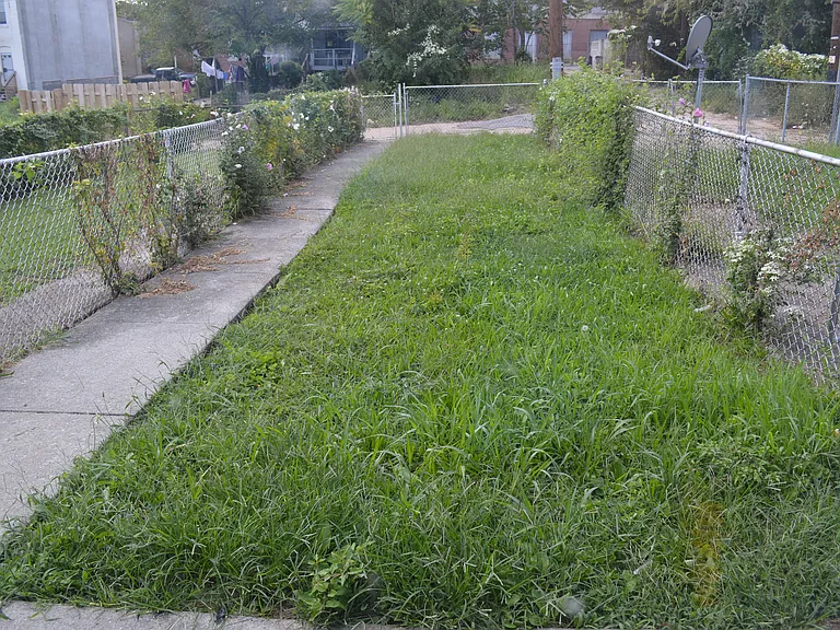 1838 Rutland Ave — Photo 11