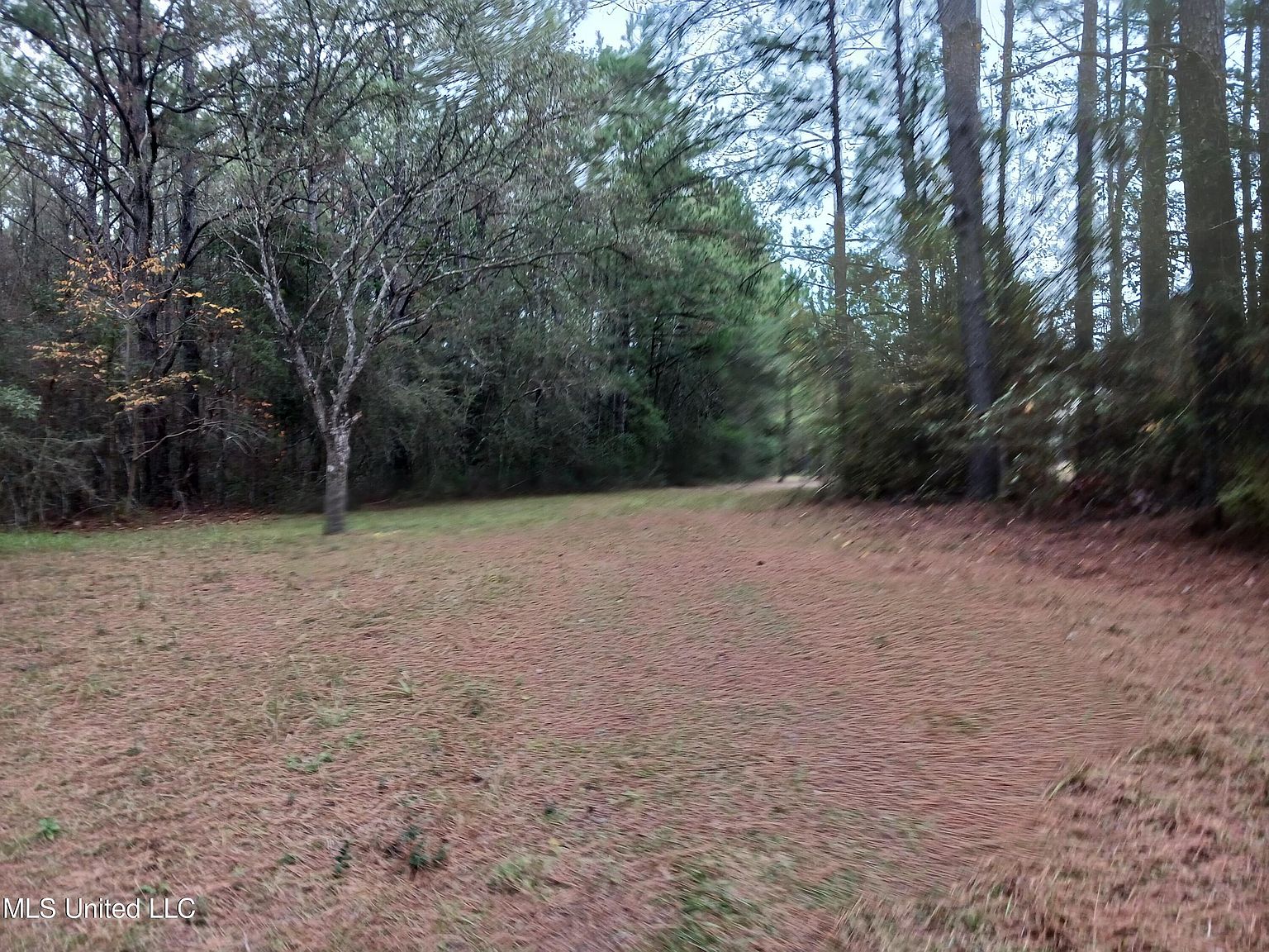 W Lake Cypress Dr, Perkinston, MS 39573 MLS 4066533 Zillow