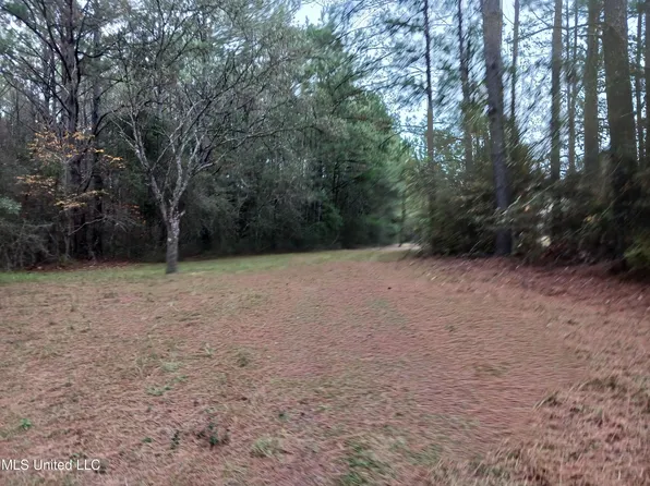 W Lake Cypress Dr, Perkinston, MS 39573