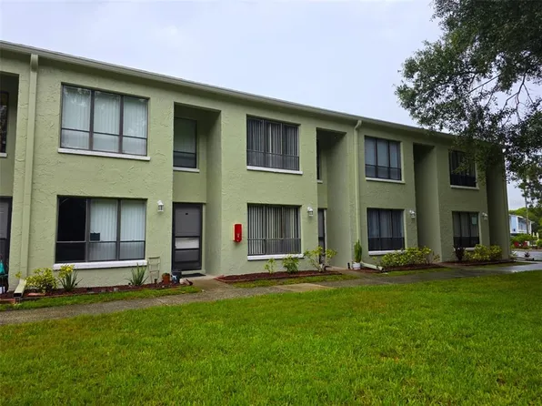 1781 SAMURAI POINT #P9, LUTZ, FL 33558