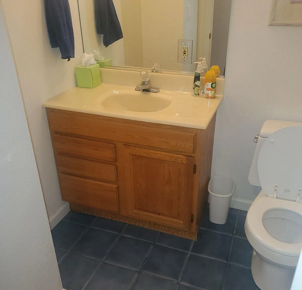 1 bed, $1,050 — Photo 3