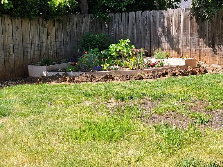 3596 Mercury Dr — Photo 21