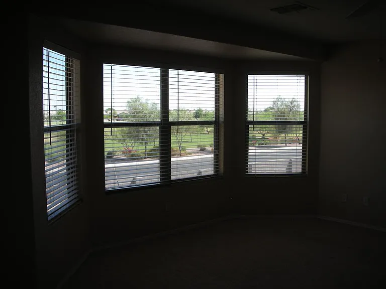 View from MBR Bay window of the Park