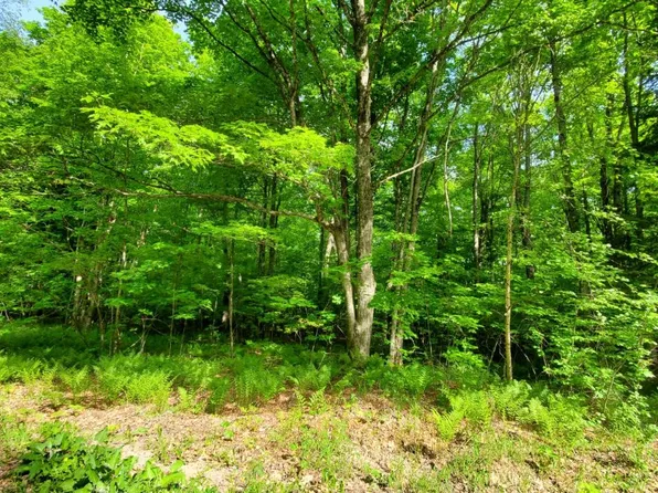 Allen Ln, Crandon, WI 54520