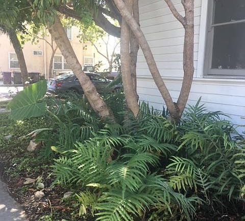 5th image of 500 Rose Ave