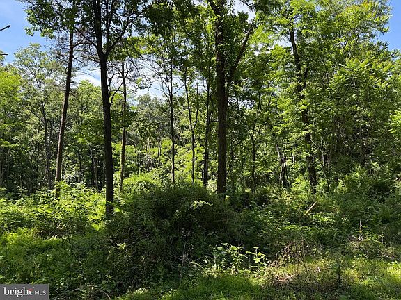 4th image of 79 Cabin Rd