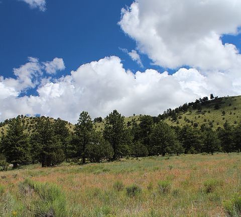 4th image of 75 Little Chief Cir