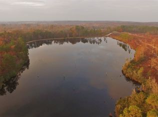 370 Cainpatch Ln, Mount Croghan, SC 29727