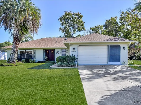 11249 Riddle Dr, Spring Hill, FL 34609