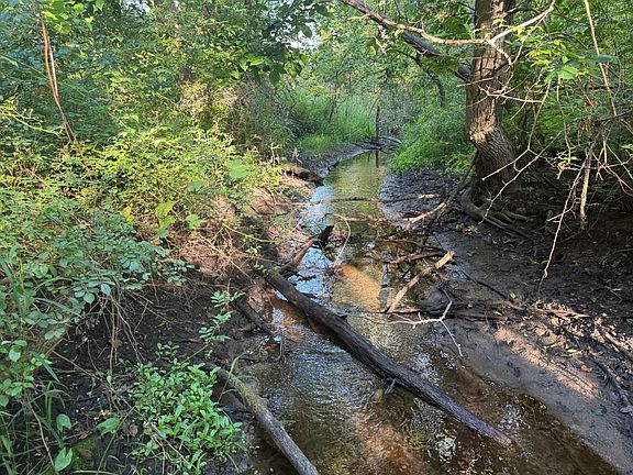 4th image of 5414 Bordman Rd