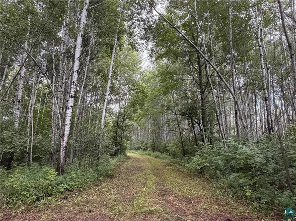TBD County Rd 12, Kettle River, MN 55757